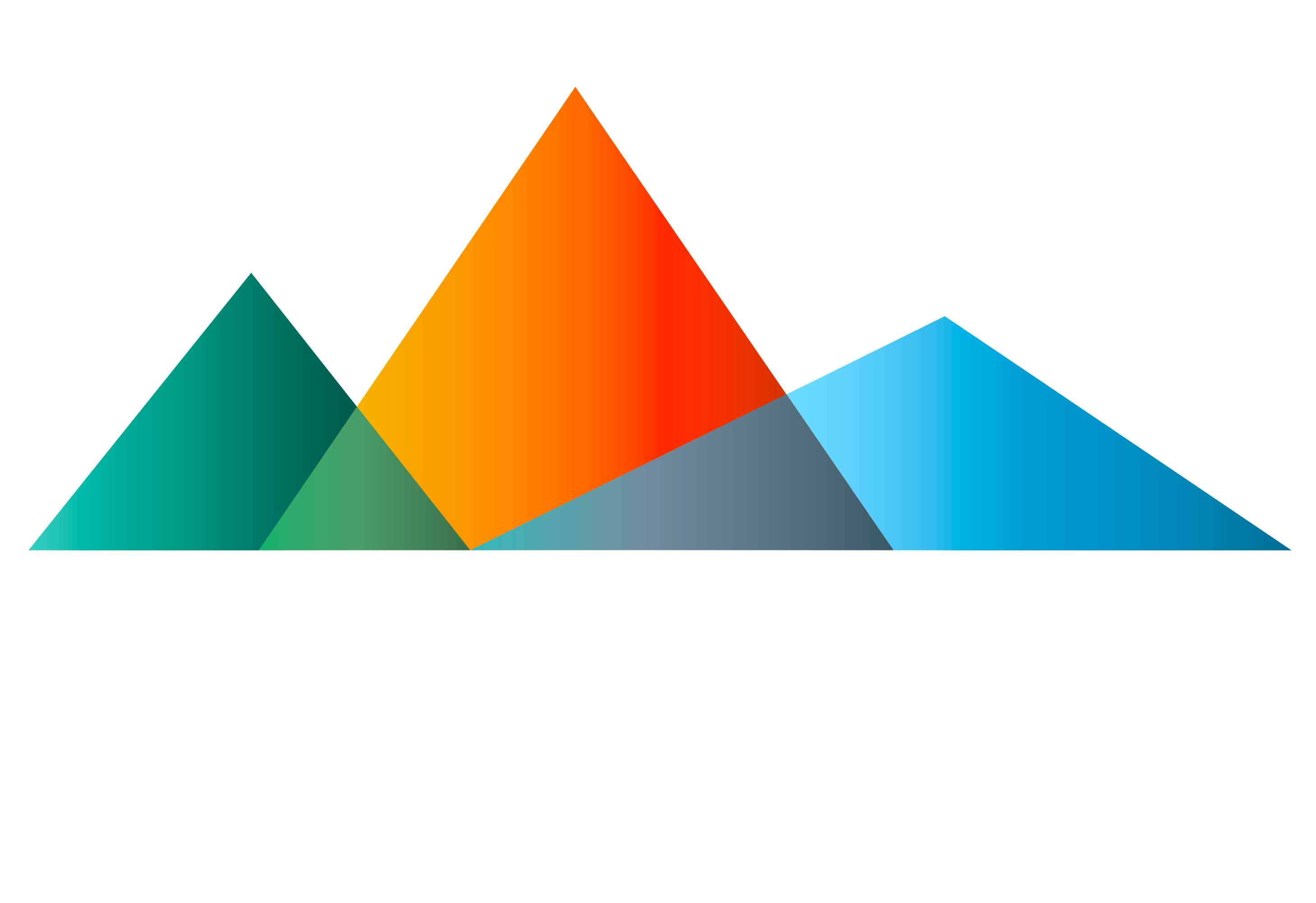 Nomad Pro logo (1)