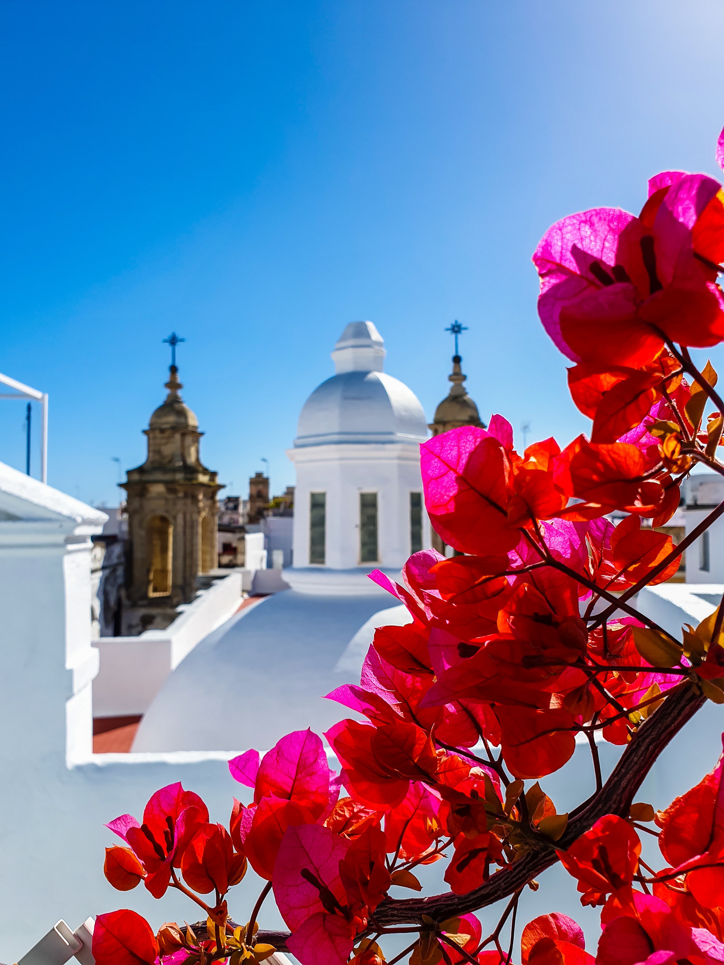 federico-garcia-mZOFWkmtfxw-unsplash federico-garcia-mZOFWkmtfxw-unsplash