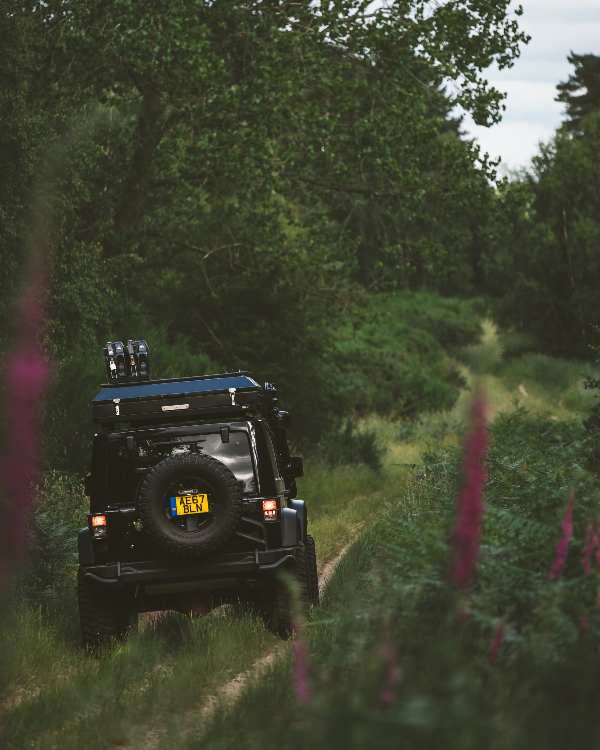 thomas-tucker-caz0OSmpL58-unsplash (1) thomas-tucker-caz0OSmpL58-unsplash (1)
